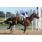 DON VAPOR - HANDICAP VAL DÂ´OR  