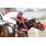 TRY TWICE -  CLASICO JOSE M. BOQUIN (L) 