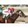 KILKENNY BOY - CLASICO EMILIO CASARES 