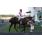 KILKENNY BOY (14)