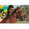 TINTA CHINA - HANDICAP BADRUDDIN