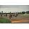 CSC_0241
