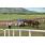 dupuy14 042
