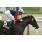 EN MOTONETA - CLASICO GENERAL VIAMONTE (G3) 