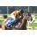 CSC_0161