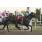 ROUSING - HANDICAP LARREA