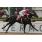 MYSTERY TRAIN - GRAN PREMIO DE HONOR (G