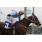 CONTESSA LINDA - CLASICO ELISEO RAMIREZ (G2) 