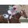 CONTESSA LINDA - GRAN PREMIO JORGE ATUCHA (G