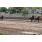 BANNETTON ROMA1