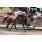 BANNETTON ROMA3