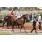 BANNETTON ROMA5