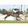 SEATLE MAT - GRAN PREMIO GRAN CRITERIUM (G