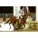 TANTOS AÃ‘OS - GRAN PREMIO ESTRELLAS CLASSIC (G. I) 