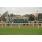 handicap potrillon 158