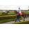 handicap potrillon 172