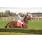 handicap potrillon 179