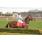 handicap potrillon 181