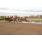 handicap potrillon 202
