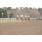 handicap potrillon 209