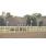 handicap potrillon 213