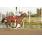 handicap potrillon 236