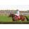 handicap potrillon 242