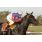 BOARIO - 
