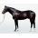 Medaglia dOro, padre de Rachel Alexandra
