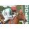 NINER SPIRIT - CLASICO THE JAPAN RACING ASSOCIATION (L)