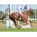 GOOD PRADO - CLASICO ORANGE H. (L) (EN DIAGONAL)