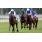 Goldikova (con autoridad)