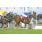 06-¦ 1 Tennery (4)