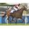 PRETTY GIRL - GRAN PREMIO COPA DE PLATA (G1)