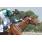 TODO TANGO KEY - GRAN PREMIO FELIX DE ALZAGA UNZUE (G1)